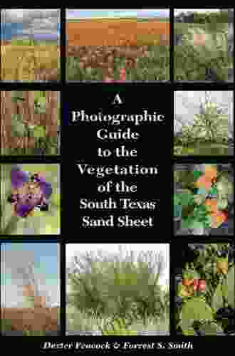 A Photographic Guide To The Vegetation Of The South Texas Sand Sheet (Perspectives On South Texas Sponsored By Texas A M University Kingsville)