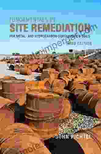 Fundamentals Of Site Remediation Daniel Boughen