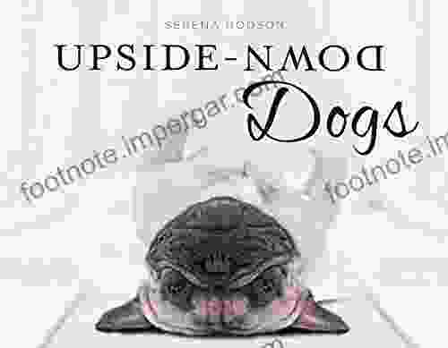 Upside Down Dogs Serena Hodson